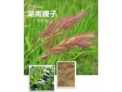大农业全景 从田间到餐桌的产业分类与关键领域解析