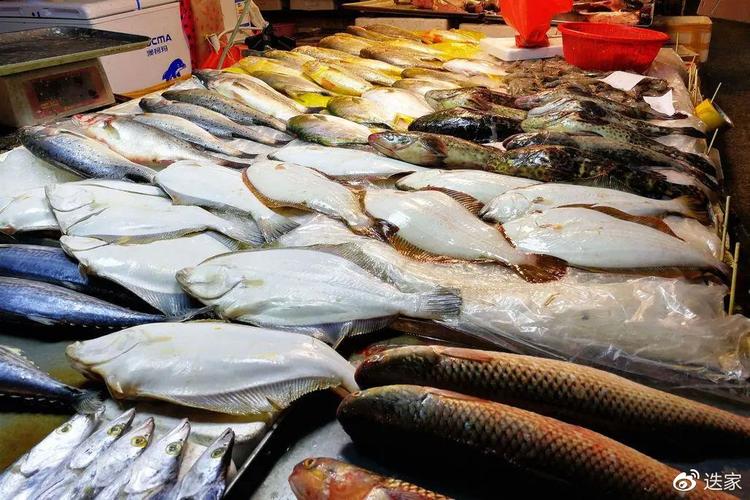 关于加大对畜牧渔业饲料生产、进口与经营监管指导力度的实践路径