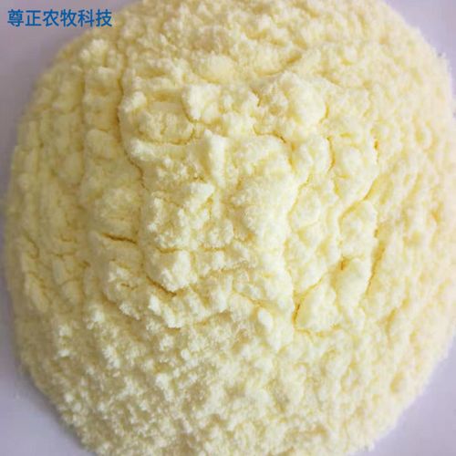 羊羔代乳粉 畜牧养殖的新鲜营养高浓度解决方案