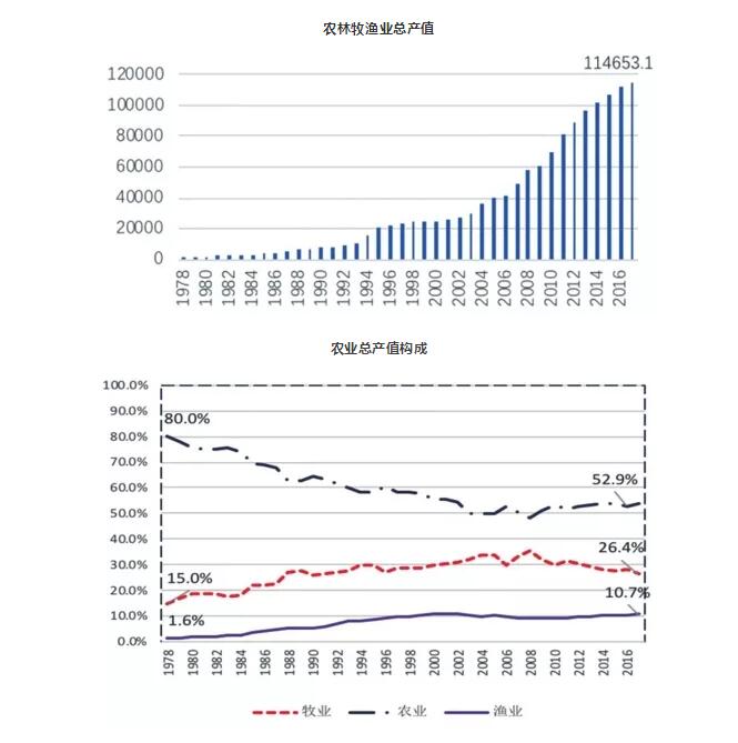 专家视点 畜牧渔业饲料的现状、挑战与未来趋势